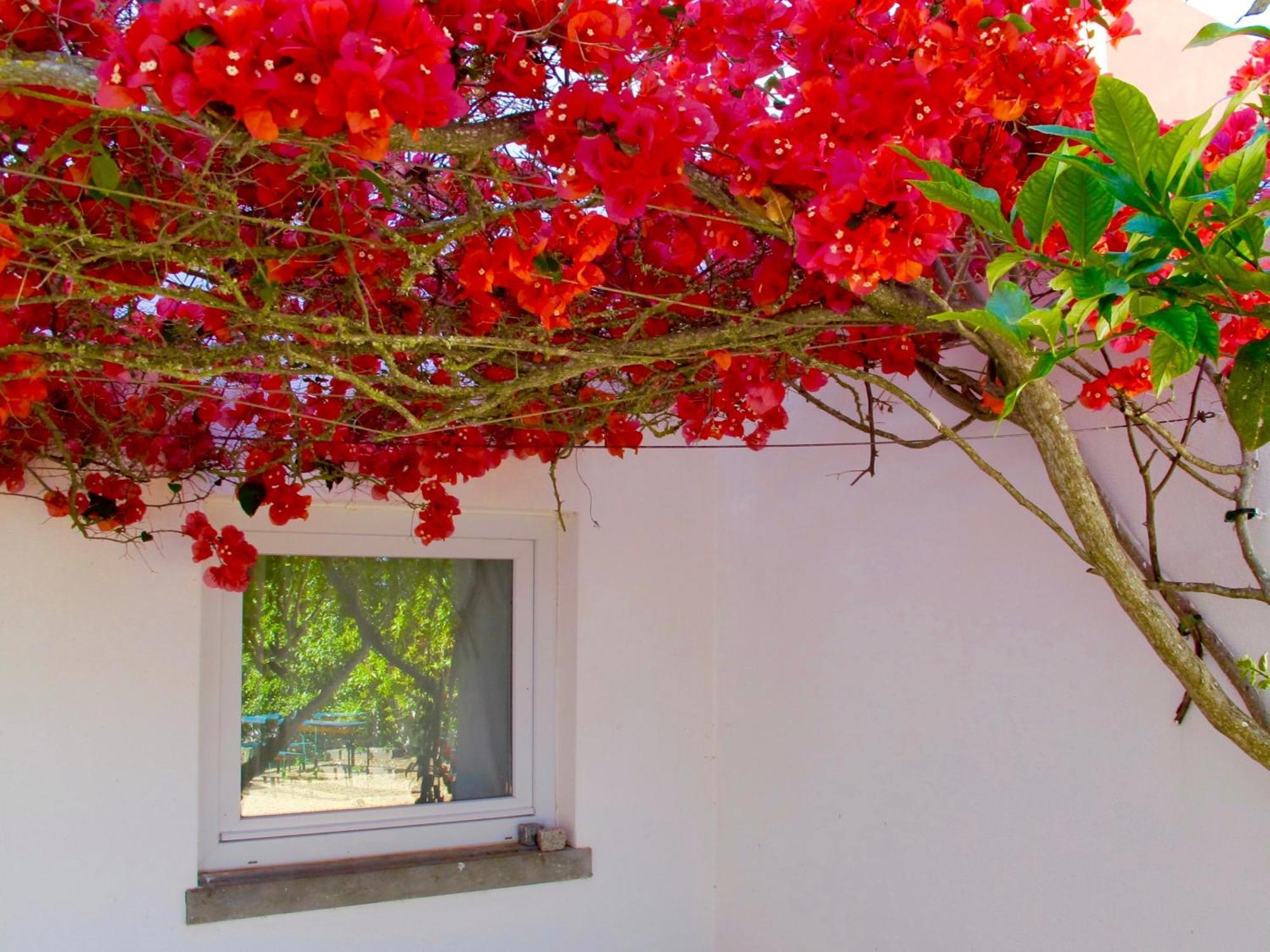 Seaya Villas Cascais Kamer foto